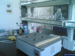 石家庄华宇新锐科技 为保定实验室提供高品质家具与通风柜等配套设备解决方案